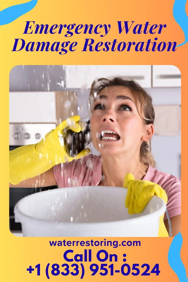 Emergency Water Damage Restoration in Ava, IL