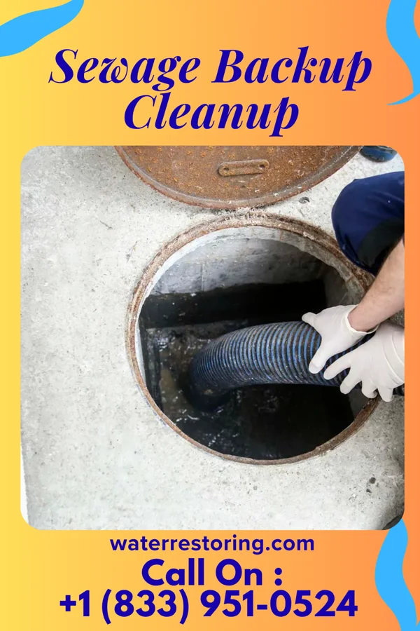 Sewage Backup Cleanup in Ava, IL